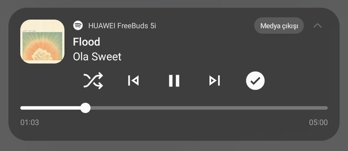 Şu anda müzik dinliyor musun?