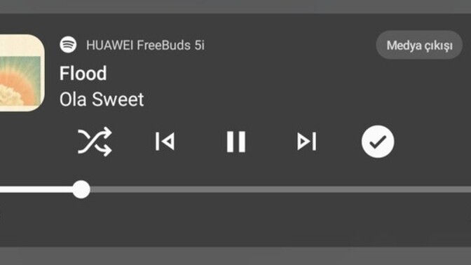 Şu anda müzik dinliyor musun?