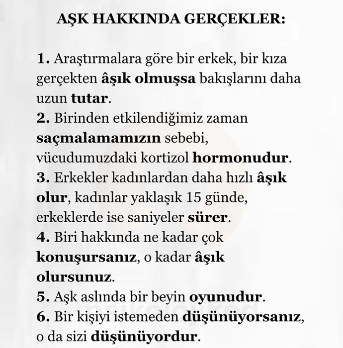 Hepsi yalan 😂