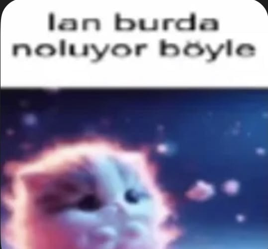 Evin hangi köşesinde partnerinle yakınlaşmak daha bir başka olur?