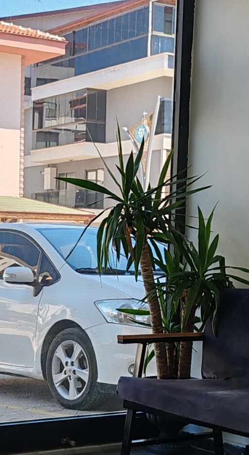 Trafik kurallarına uyuyor musunuz?