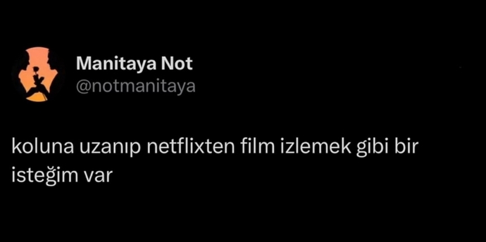 Koluna uzanıp, Netflixden film izlemek istediğiniz biri var mı?