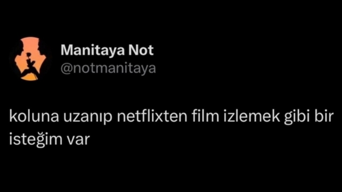 Koluna uzanıp, Netflix'den film izlemek istediğiniz biri var mı?