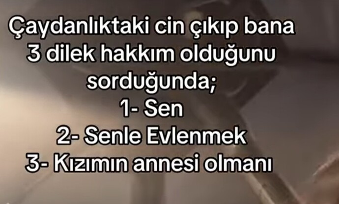 En son ne dilediniiiz?