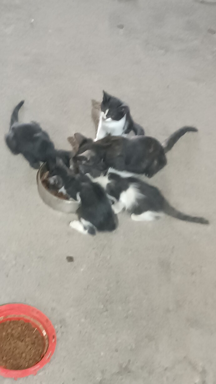 Işığı gören geliyor arkadaşlar! Ne yapmalıyım?
