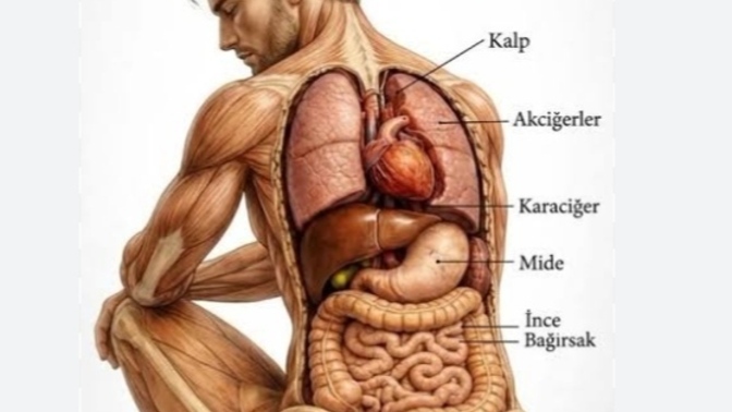 Vücudunuzun en hassas bölgesi neresi 😂 ?