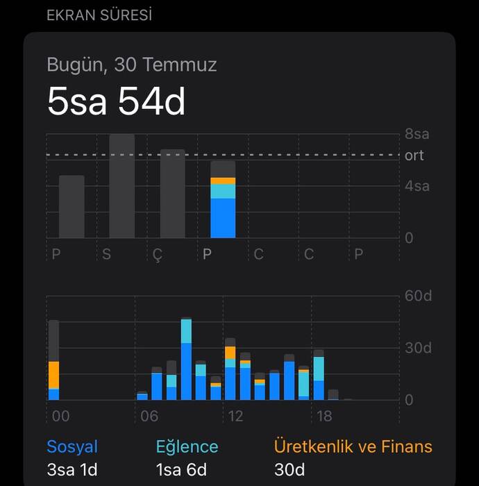 Anlık ekran süreniz kaç saat kaç dakika ve de saniye?