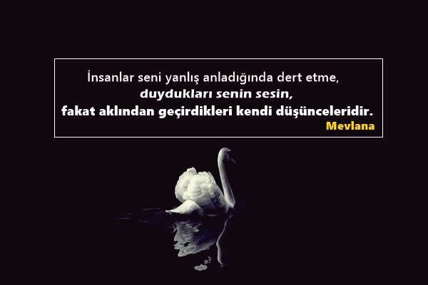 Yanlış anlaşılmaktan nefret mi edersin yoksa umursamaz mısın?