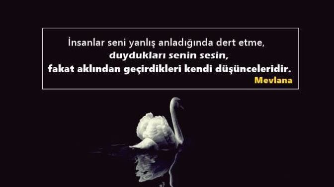 Yanlış anlaşılmaktan nefret mi edersin yoksa umursamaz mısın?