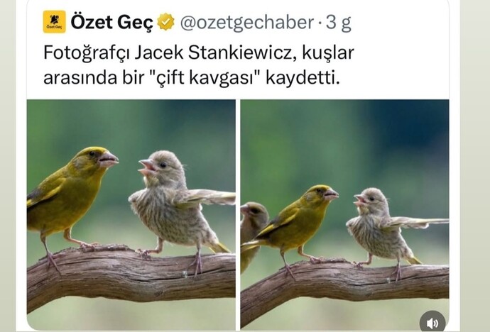 Daha once hic kavga edenleri ayirmaya calistiniz mi, araya girip dayak yediginiz oldu mu?