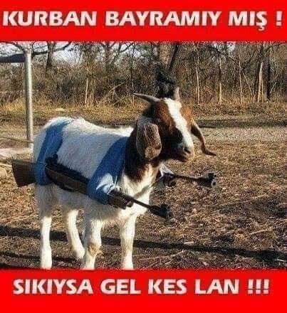 Eniştenizi özledim yazayım mı yoksa yazmiyim mi?