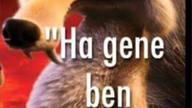 Soru cevap yapalım mı?