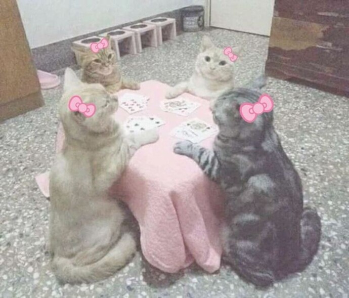 Sizce sohbetiniz sarıyor mu?