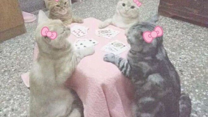 Sizce sohbetiniz sarıyor mu?