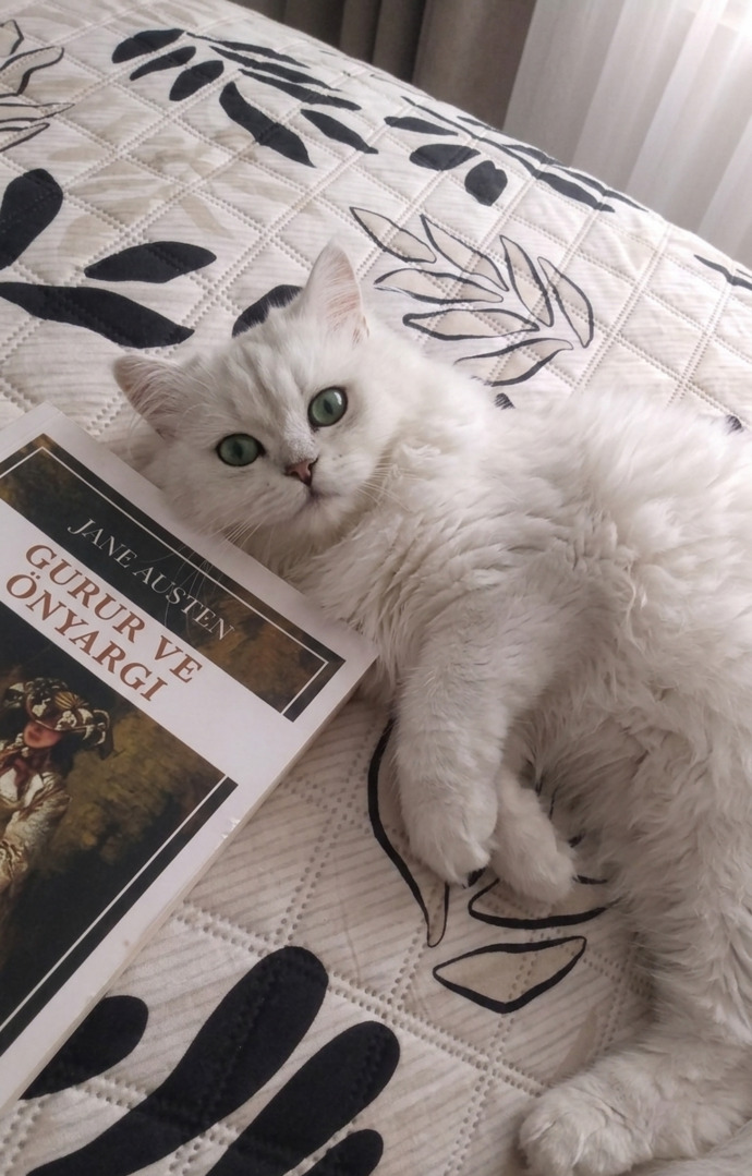 Yakın arkadaşınız eski sevgiliniz ile sevgili olabilir mi?