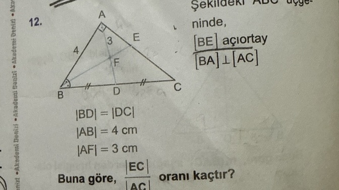Geometri sorumu yapabilecek biri çıkar mı?