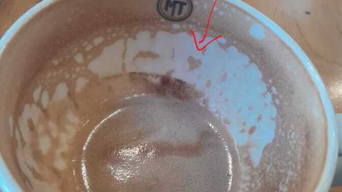 Latte falı bakan var mı?