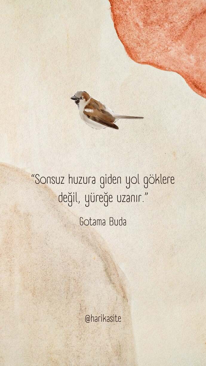 Çıkın çıkın gelin