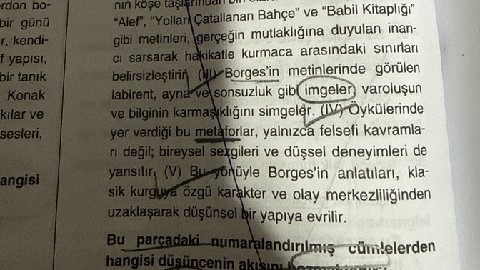 Türkçe soruma bakar mısınız?