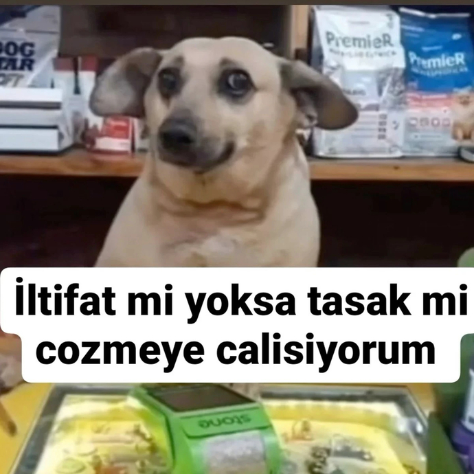 Size iltifat edilmesine alışkın mısınız?