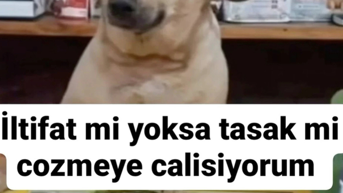 Size iltifat edilmesine alışkın mısınız?