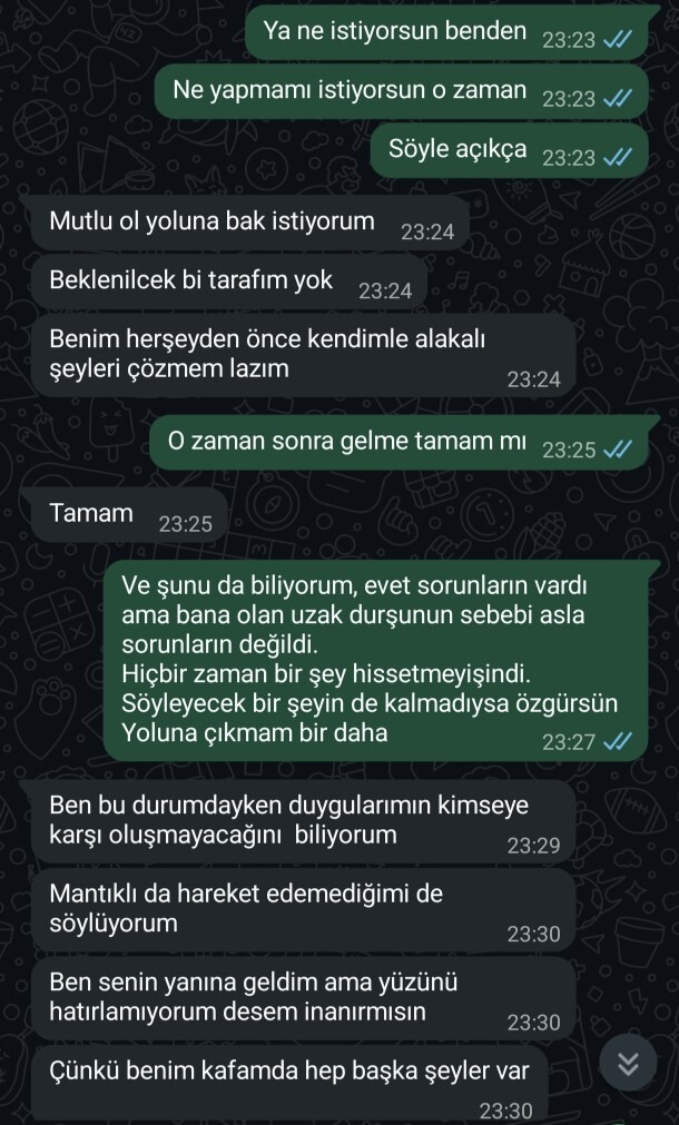 Sevmiyor, sevmemiş değil mi?