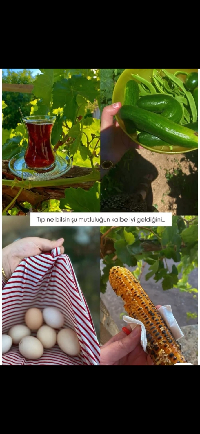 Pazar gününü evde mi geçireceksin, dışarda mı?