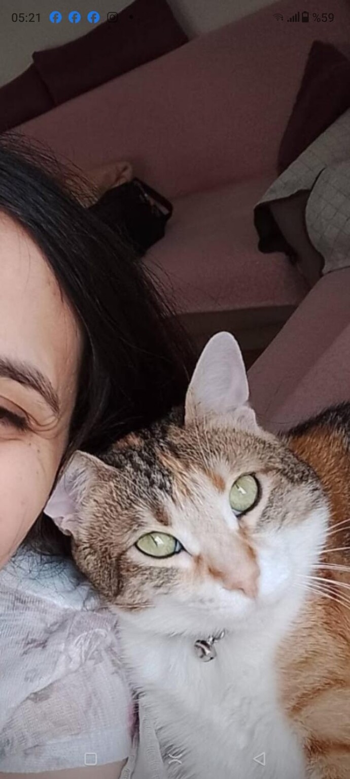 EVİNİZDE KEDİ var mı ?