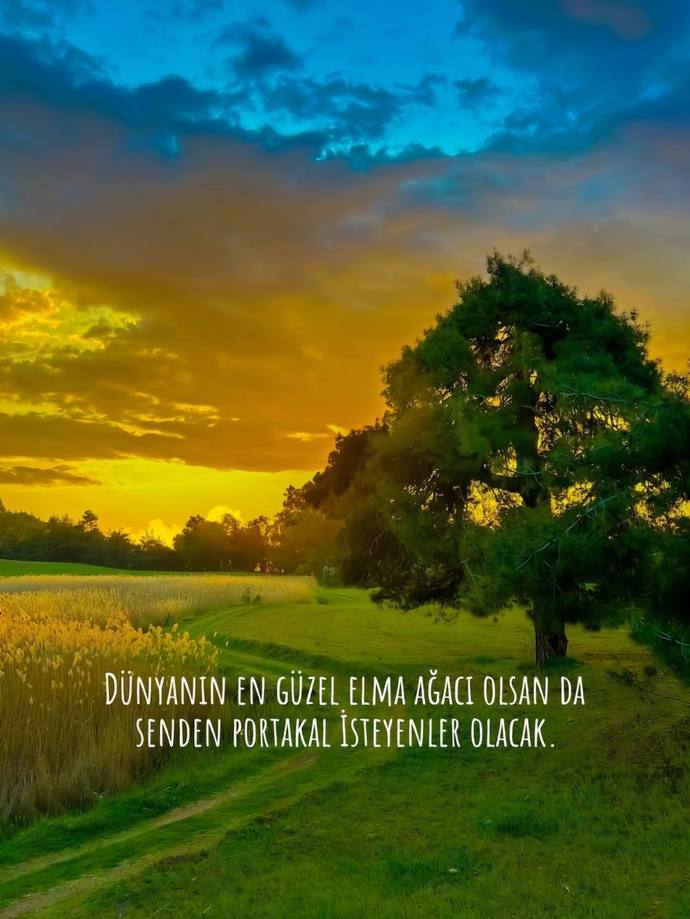 İnsanoğlu neden doyumsuzdur?