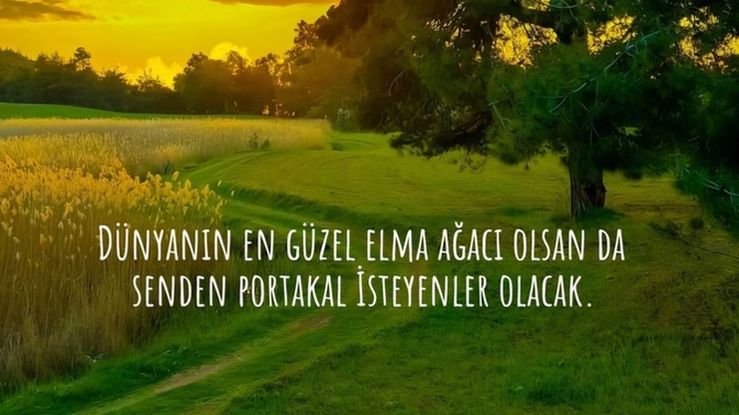 İnsanoğlu neden doyumsuzdur?