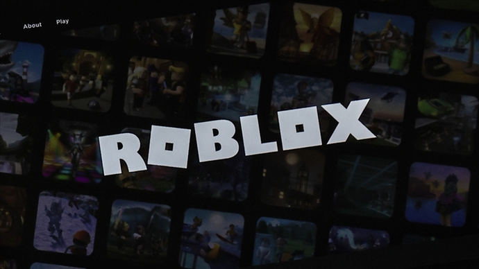 Robloxun kapatılması hakkında ne düşünüyorsunuz?
