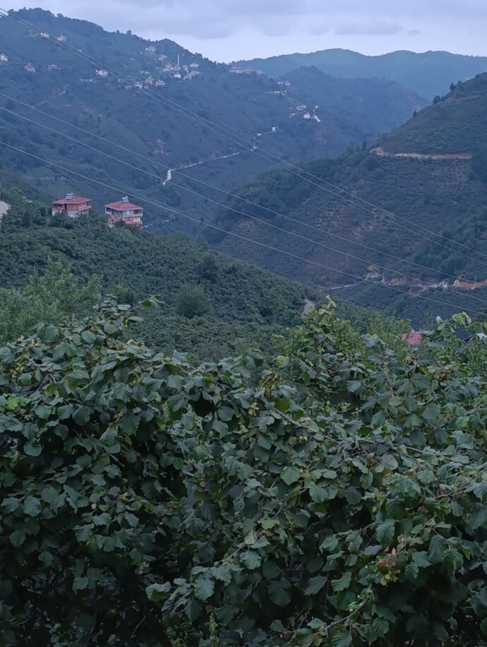 Balkon manzaranız nedir?