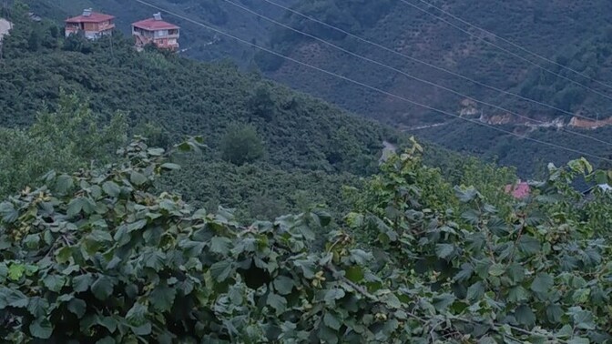 Balkon manzaranız nedir?