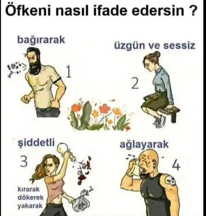 Öfkeni nasıl ifade edersin?