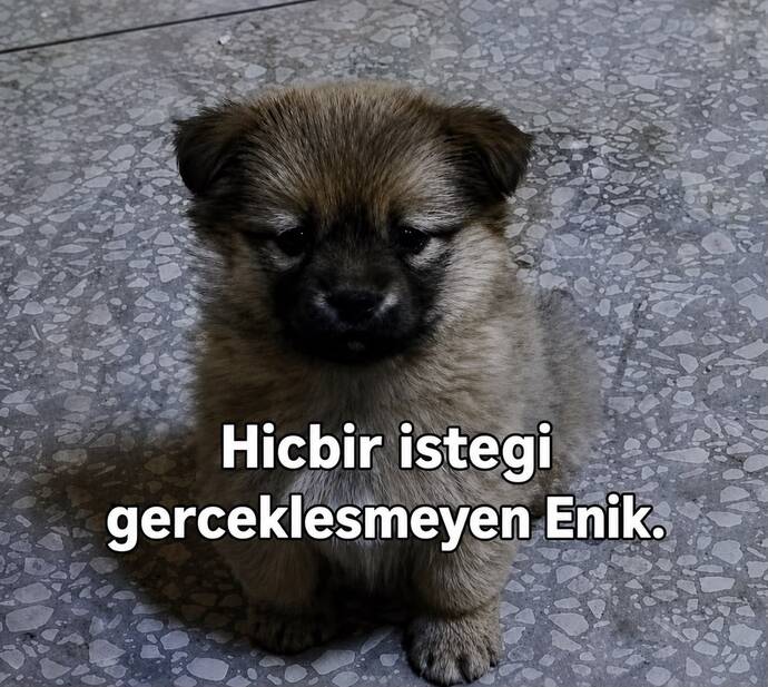 Aşk hayatını anlatan bir görsel paylaşır mısın?
