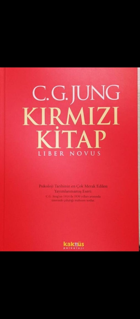 En son hangi kitabı okudunuz? Kitap okuma sıklığınız nedir?