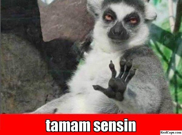 Erkek yaparsa kadında yapar kısasa kısas?