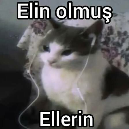 Zor birisi misiniz?