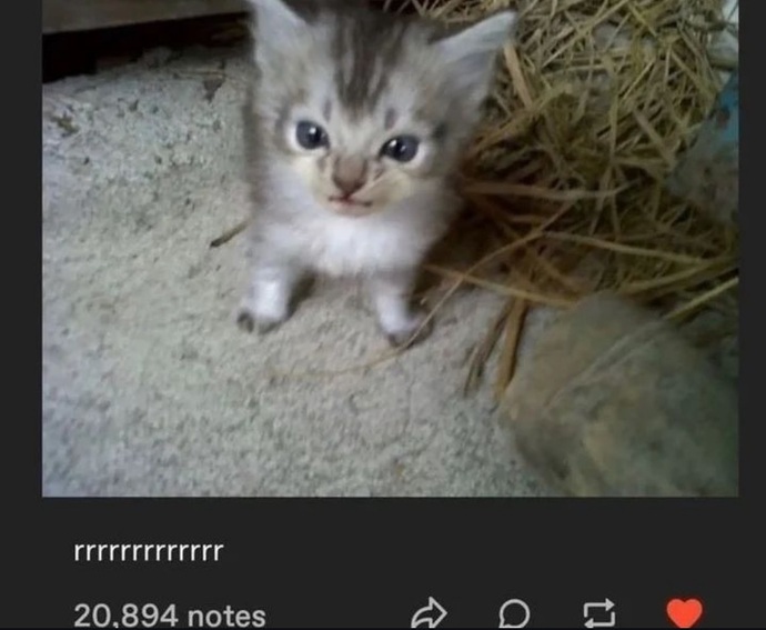 Sizi sevmeyenler neden sevmiyordur sizce?