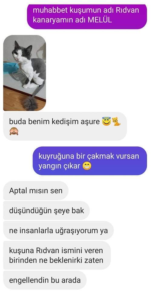 Kedileriniz olsa ismini ne koyardınız?
