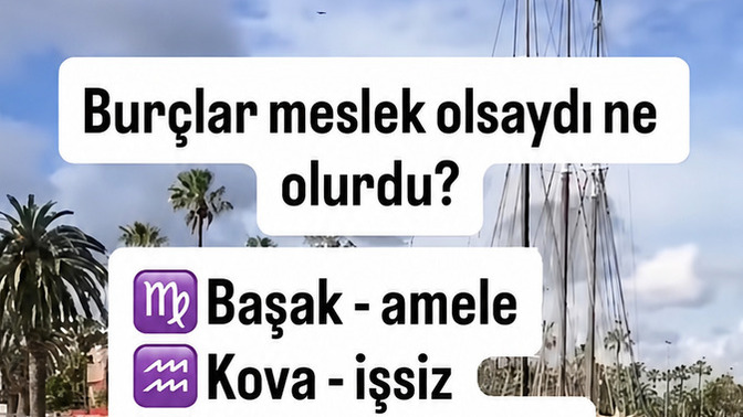Burçlar meslek olsaydı ne olurdu?