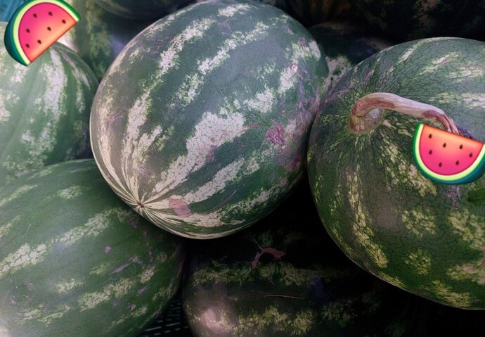 Karpuz yiyecek misin🍉?