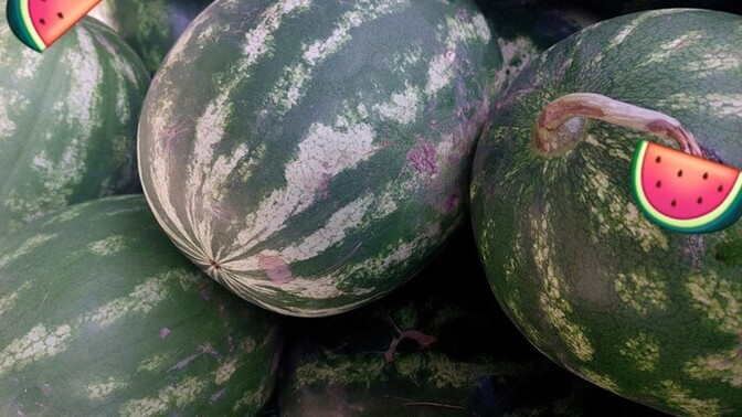 Karpuz yiyecek misin🍉?
