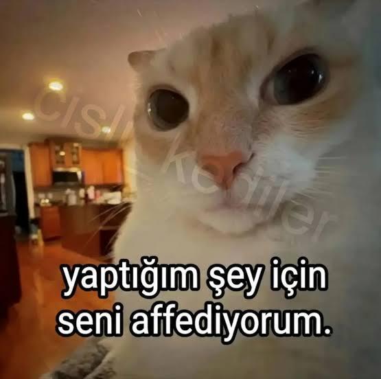Kalbinize dokunabilen insanlar hala var mı, sizce gerçek sevgi bitti mi?
