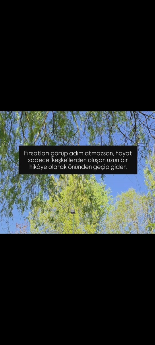 Risk almayı seviyormusunuz?