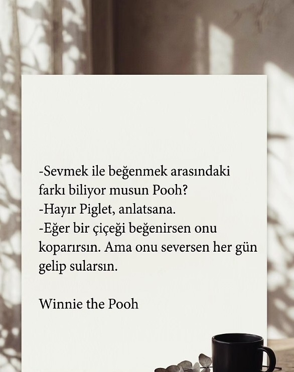 Sevgi ile beğeni arasında fark varmıdır?