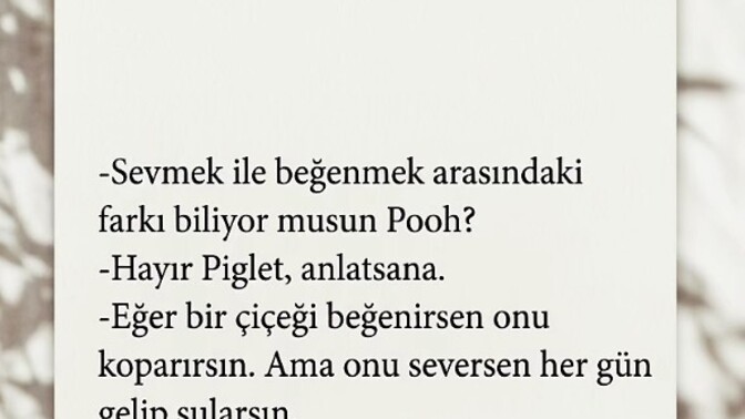 Sevgi ile beğeni arasında fark varmıdır?