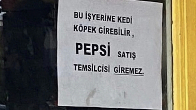 Pencereye çarpan sinek mi olmak isterdin yoksa, Lamba etrafında dönen kelebek mi?
