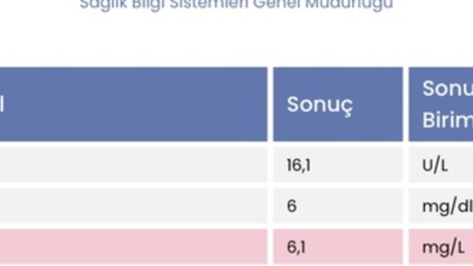 Tahlil sonuçlarımda hangi değerler düşük çıkmış olabilir, yorumlar mısınız?