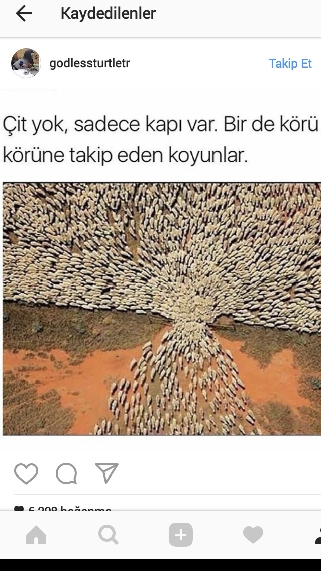 Sürü psikolojisine uyar mısın?